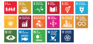 sdgs